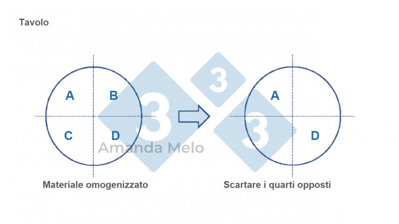 Figura 5: Schema di divisione in quarti del campione.
