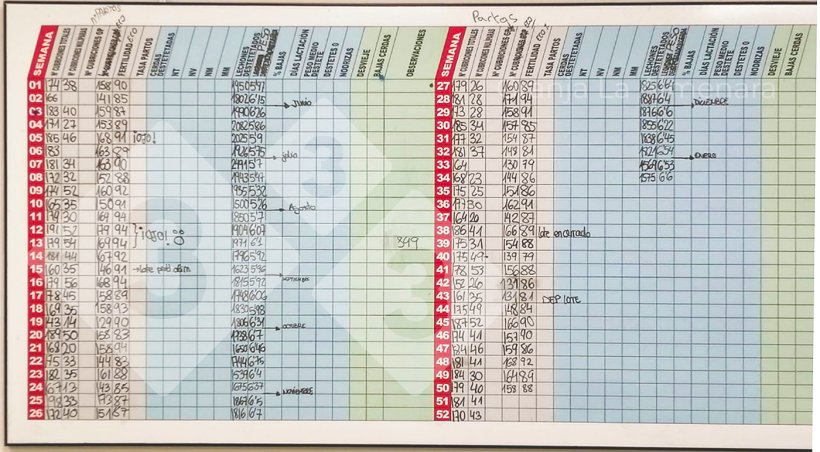 Foto 3: I principali indicatori di produzione sono visibili nella sala da pranzo-sala formazione e aggiornati per coinvolgere il team nei risultati.
