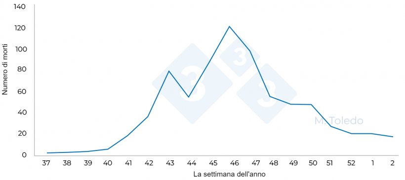 Figura 4. Numero di morti&nbsp;in tutti&nbsp;gli ingrassi&nbsp;a seconda della settimana dell&#39;anno.
