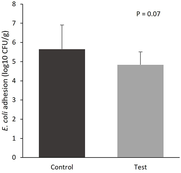 Figura 1. Colonizzazione da E. coli dell'epitelio mucoso dell'intestino tenue (sezione al 75% della lunghezza dell'intestino tenue) di suinetti al d14 dopo lo svezzamento, quando alimentati con una dieta di controllo (Controllo; n = 10) o una dieta contenente 2 kg/tonnellata di frazioni di fibre specifiche derivate da radice di Araceae e agrumi (Test; n = 10) dal giorno 0 al giorno 14 post-svezzamento.