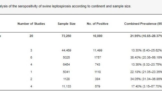 Tabella 2. Riassunto della meta-analisi della sieropositività per leptospirosi suina secondo il continente e dimensione del campione.