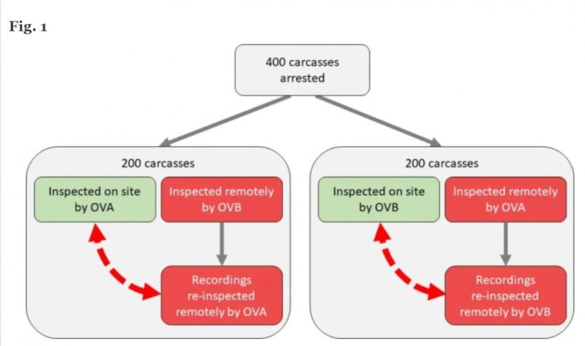 Rappresentazione schematica dei confronti tra materiale video in loco e registrato dell&#39;ispezione post mortem delle carni eseguita da due veterinari ufficiali (VU). Fonte:&nbsp;Acta Veterinaria Scandinavica
