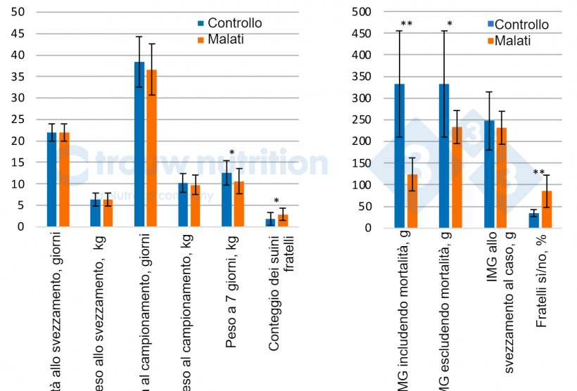 Figura 1. Prestazioni degli animali e storia della figliata tra suini malati con segni neurologici (n = 20) e controlli (n = 28). BW = peso corporeo. IMG&nbsp;= Incremento medio giornaliero&nbsp;tra: Conteggio dei Fratelli&nbsp;= rappresenta il numero di fratelli all&#39;interno dell&#39;insieme dei&nbsp;dati. Ai suini&nbsp;venivano dati 0, 1, 2, 3, 4, 5... quando avevano rispettivamente 0, 1, 2, 3, 5 o 4 fratelli.
