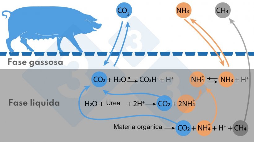 Figura. Schema semplificato delle reazioni che influenzano le emissioni di NH3 e CH4
