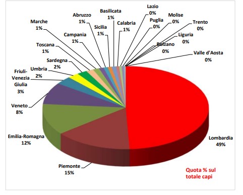 Elaborazione su dati della BDN dell'Anagrafe zootecnica istituita dal Ministero della Salute presso il CSN dell'Istituto "G. Caporale" di Teramo.