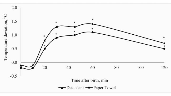 Figura 1.Deviazione della temperatura rettale dei suinetti tra i trattamenti asciuganti (asciugante o tovagliolo di carta) e quelli non asciuganti (controllo) nelle prime 2 ore dopo la nascita. *Deviazione rispetto al trattamento di controllo diversa da 0, a P ≤ 0,05.