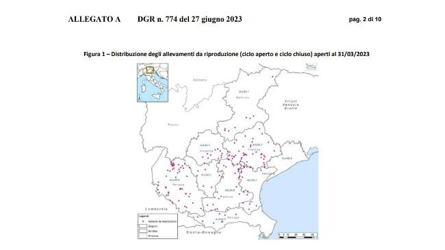 Ciclo aperto e chiuso al 31 marzo 2023