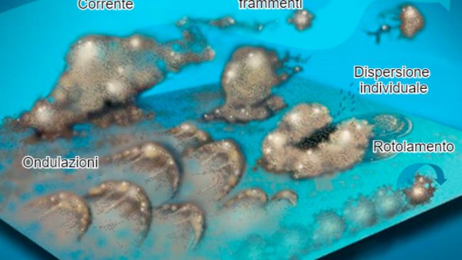 Figura 7. I batteri del biofilm possono mobilitarsi in molti modi: collettivamente o in increspature, rotolando sulla superficie o staccati in gruppi o individualmente, disperdendosi nella corrente. Fonte:&nbsp;Center for Biofilm Engineering, Montana State University
