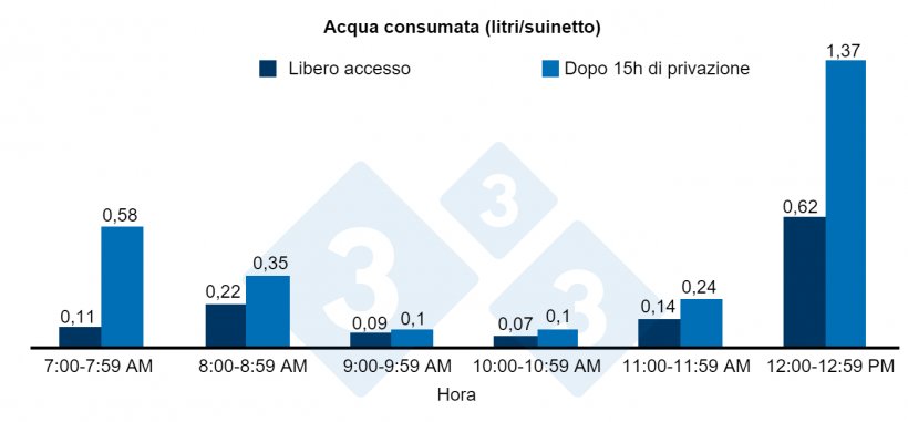 Figura 3. Acqua consumata (litri/suinetto) dopo 15 ore di privazione o di libero accesso all&#39;acqua.
