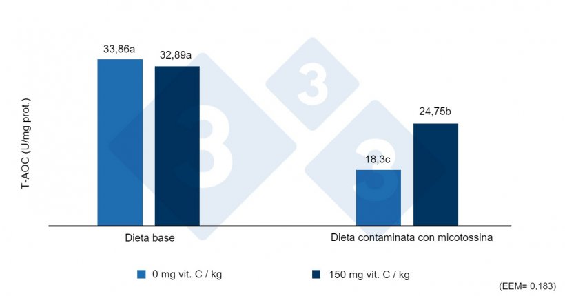 Figura 2. Capacit&agrave; antiossidante totale (T-AOC) nel fegato di suinetti svezzati alimentati con diete contaminate con zearalenone con o senza alte dosi di vitamina C. Lettere diverse indicano differenze statisticamente significative (p&lt;0,05). Fonte: Shi et al. (2017)
