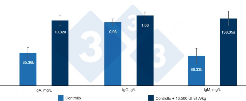 Figura 4. Effetto dell&#39;inclusione di 13.500 UI di vitamina A/kg di mangime sulle immunoglobuline sieriche nei suinetti svezzati. a, b: lettere diverse indicano differenze statisticamente significative (P &lt;0,05). Fonte: Hu et al. (2020).
