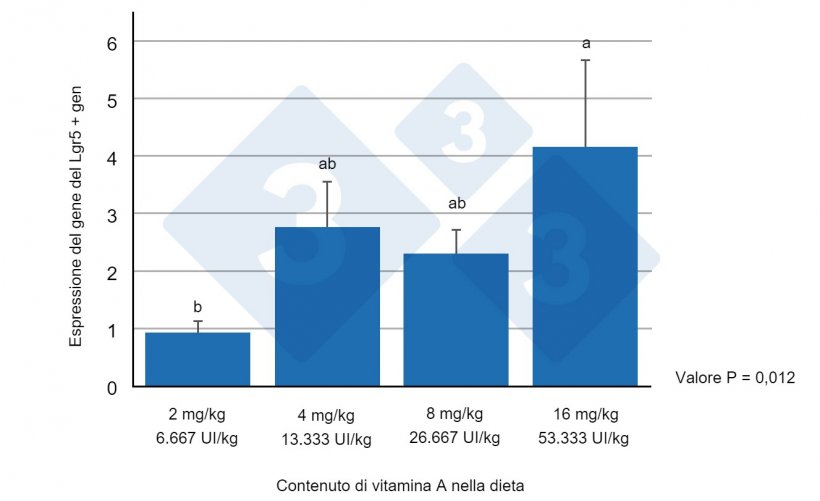 Figura 1. Espressione del gene Lgr5+ nel digiuno di suinetti svezzati, alimentati con diversi livelli di vitamina A. Lettere diverse indicano differenze statisticamente significative (p&lt;0,05). Fonte: Wang et al. (2020)
