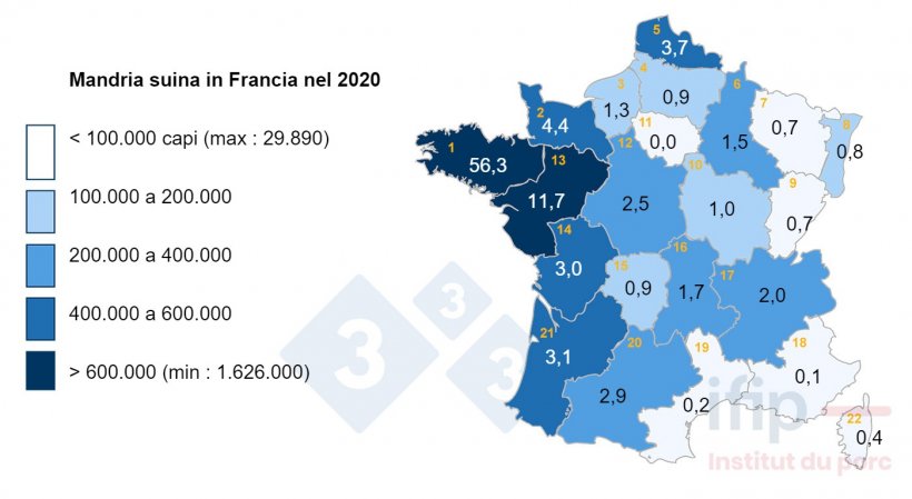 Distribuzione del patrimonio suinicolo in Francia nel 2020. 1 Bretagne, 2 Basse-Normandie, 3 Haute-Normandie, 4 Picardie, 5 Nord-Pas-de-Calais, 6 Champagne-Ardenne, 7 Lorraine, 8 Alsace, 9 Franche-Comt&eacute; , 10 Bourgogne, 11 IDF, 12 Centre, 13 Pays de la Loire, 14 Poitou-Charentes, 15 Limousin, 16 Auvergne, 17 Rh&ocirc;ne-Alpes, 18 PACA, 19 Languedoc-Roussillon, 20 Midi-Pyr&eacute;n&eacute;es, 21 Aquitaine.
