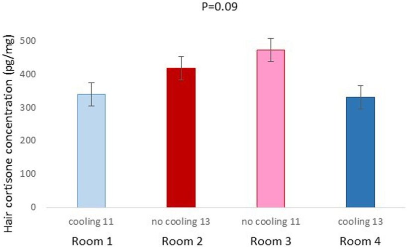 Figura 4. Concentrazione di cortisone pilifero pg./mg dei suini della Prova 1 stabulati nelle diverse stanze (p&thinsp;=&thinsp;0.0904). Lettere diverse significano differenze significative a p=0.09.