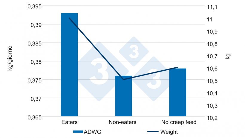 Figura 6. Aumento di peso giornaliero e peso in base al fatto che abbiano mangiato o meno mangime prima dello svezzamento (0-28 d). Fonte:&nbsp;Sulabo et al. 2014.
