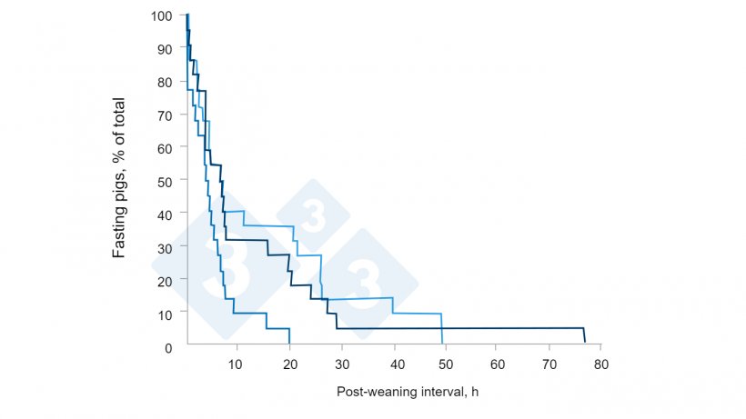 Figura 4.Effetto del consumo di creep-feed sulle caratteristiche individuali di ingestione di mangime e sulle prestazioni dei suinetti svezzati alloggiati in gruppo. Fonte: Brunix, et al 2002.
