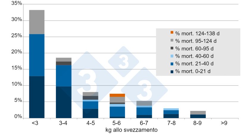 Figura 5.% Mortalità dello svezzamento fino a 138 giorni dopo lo svezzamento. Fonte: A. Vidal, 2015.
