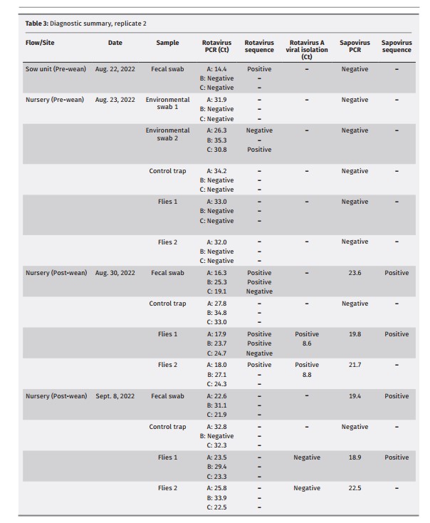 Tabella 3: Riassunto diagnostico, replicazione 2.