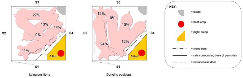 Figura 5. Le cinque posizioni preferite per sdraiarsi (a sinistra) e le posizioni per defecare (a destra) in un box quadrato (2,4 × 2,4 m) quando la scrofa era libera [adattato da Moustsen et al. (51)]. S1: lato box verso il corridoio di ispezione; S2: Lato box opposto al movimento dei suinetti; S3: lato box opposto al corridoio di ispezione; S4: Lato mobile davanti al nido dei suinetti.