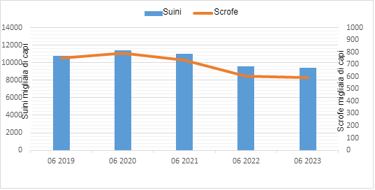 Figura 1. Evoluzione della popolazione suina in Polonia. Fonte: Ufficio Centrale di Statistica, Polonia.
