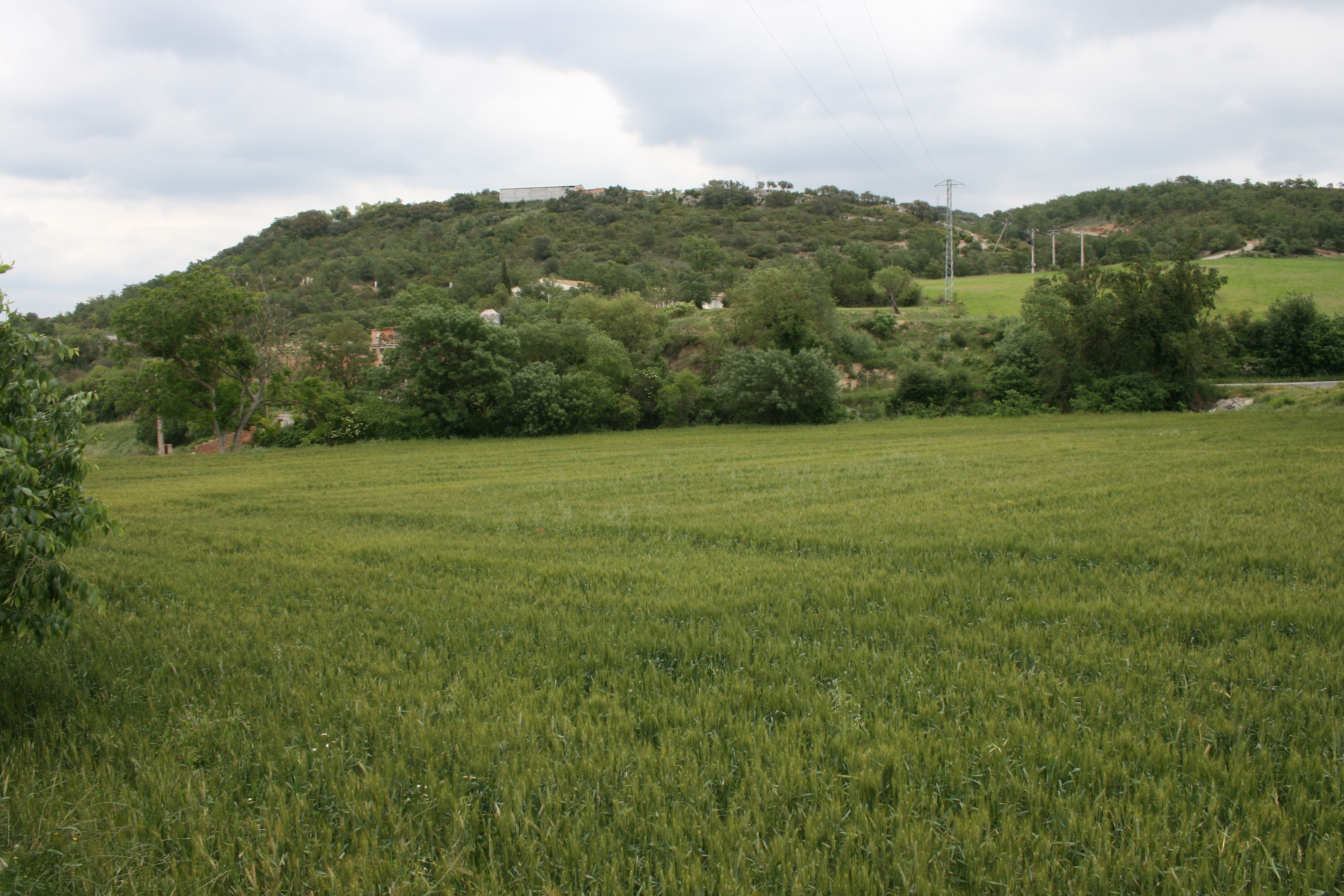 Commissione Ue, 186 mln per promuovere i prodotti agroalimentari