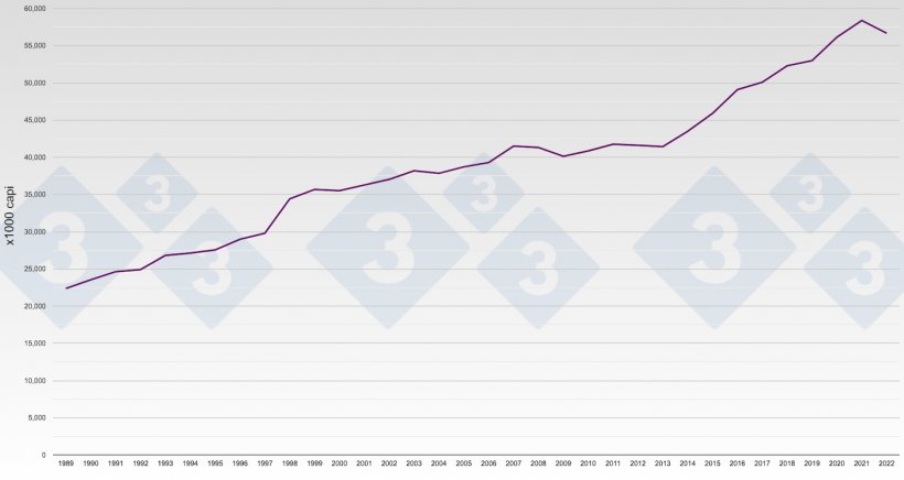 Grafico 1. Evoluzione della produzione suina in Spagna. Numero di suini macellati all&#39;anno.
