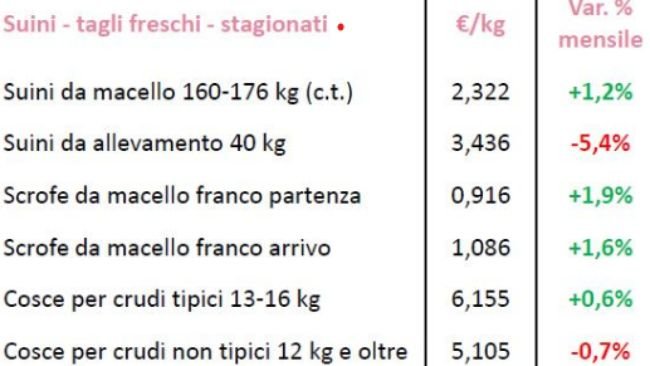 Articoli - Pagina 2 di 5 