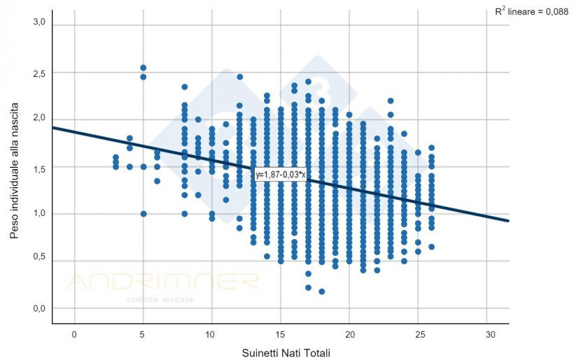 Grafico 1. Curva di regressione dei Nati totali e del peso individuale alla nascita. Fonte: Javier Lorente. Allevamento commerciale, 3483 suinetti pesati individualmente nel 2021.
