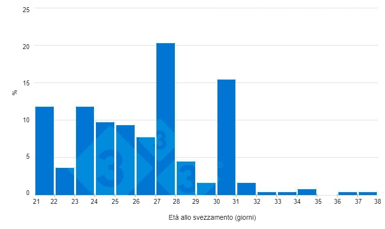 Figura 1: et&agrave; attuale dello svezzamento (indagine 333)
