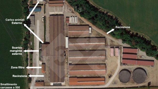 Fig. 1 Vista aerea Allevamento.
