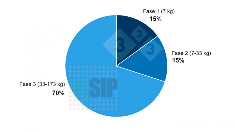 Grafico 1. Spesa globale per un suino&nbsp;di 173 kg divisa per fase produttiva
