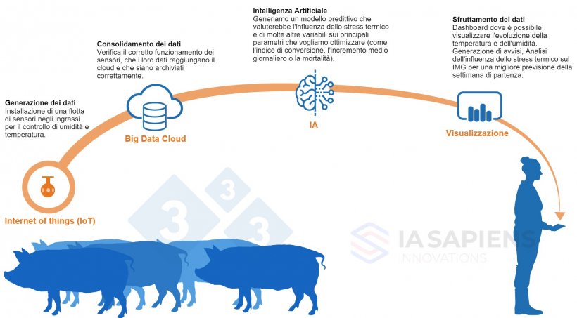 Figura 1.&nbsp;Implementazione dell&rsquo;Intelligenza Artificiale (IA) negli allevamenti d&#39;ingrasso.
