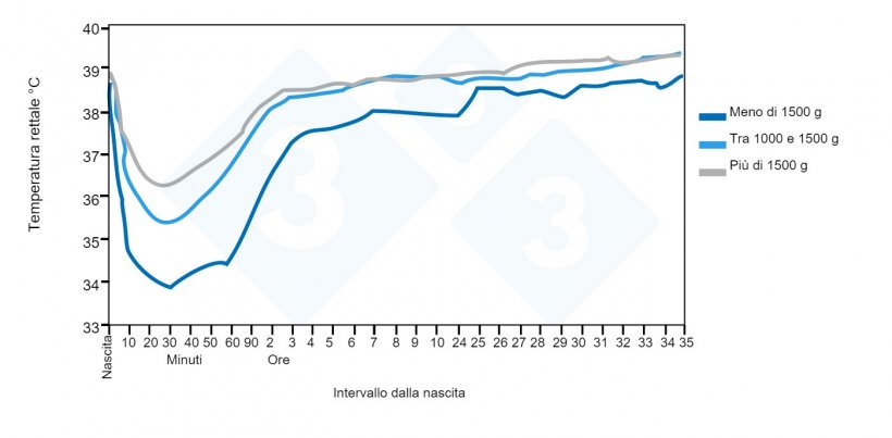 Andamento della temperatura rettale dalla nascita alle 35 ore di vita in relazione al gruppo di peso alla nascita. Fonte: Pattison, English, MacPherson e&nbsp;Birnie 1989.
