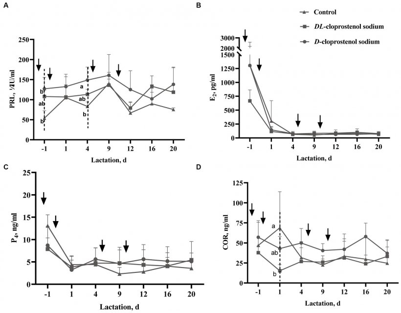 Figura 3. Effetto del D-cloprostenolo sodico o DL-cloprostenolo sodico sui livelli sierici di prolattina (PRL) (A), livelli di estradiolo-17β (E2) (B), livelli di progesterone (P4) (C) e cortisolo (COR) livelli (D) in scrofe multipare durante la lattazione (medie ± SD). Le scrofe multipare senza alcun trattamento aggiuntivo (n = 3) e quelle trattate con 75 μg/ora di D-cloprostenolo sodico (n = 3) e 200 μg/ora di DL-cloprostenolo sodico (n = 3) sono state indotte con trattamenti quartici 24 h prima consegna, rispettivamente 3 h e 5 giorni dopo il parto e 3 h, 5 giorni e 10 giorni dopo il parto. Il ↓ nell'immagine indica il tempo di somministrazione di 75 μg di D-cloprostenolo sodico o 200 μg di DL-cloprostenolo sodico. Il prelievo iniziale del sangue è stato effettuato 3 ore dopo la dose iniziale, cosa che merita di essere menzionata. a,bDiversi apici nello stesso punto temporale del prelievo di sangue differiscono in modo significativo (p 