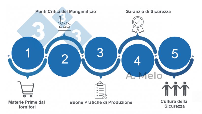 Figura 1. Le cinque chiavi per raggiungere la sicurezza nei mangimi&nbsp;bilanciati.
