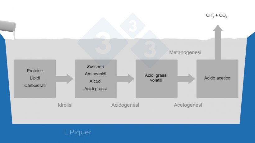 Grafico 1.&nbsp;Ciclo di formazione del metano (CH4) durante lo stoccaggio dei liquami..
