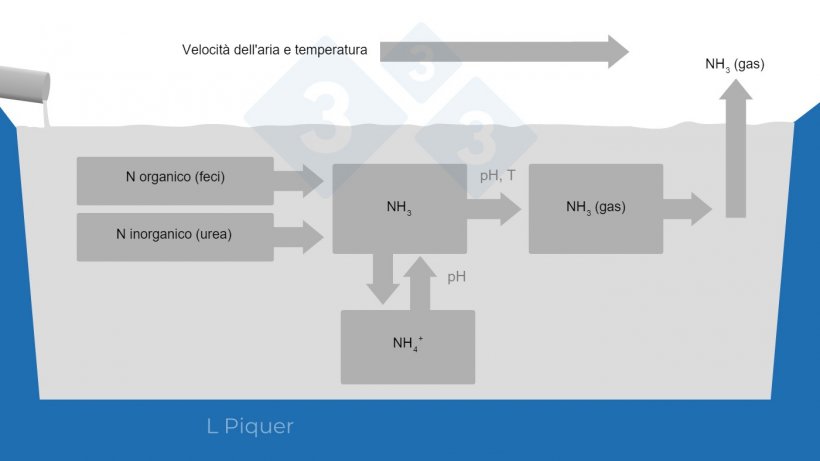 Grafico 2.&nbsp;Ciclo di formazione dell&#39;ammoniaca (NH3) durante lo stoccaggio dei liquami.
