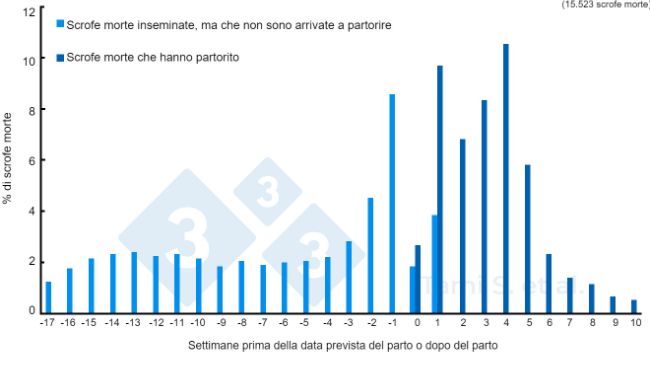 Figura 1. Frequenze relative (%) di scrofe morte, prima o dopo il parto, su un totale di 7778 scrofe inseminate pi&ugrave; 7745 scrofe partorite. Fonte: Tami S. et al. 2017

