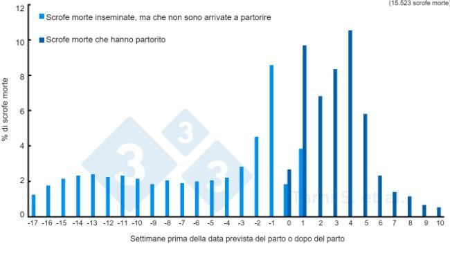 Figura 1. Frequenze relative (%) di scrofe morte, prima o dopo il parto, su un totale di 7778 scrofe inseminate più 7745 scrofe partorite. Fonte: Tami S. et al. 2017