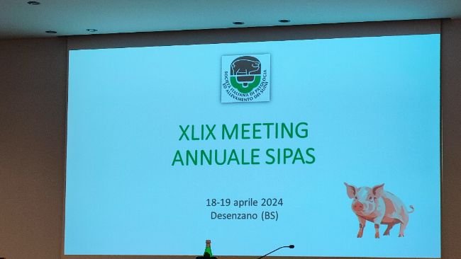 Sipas 2024 23
