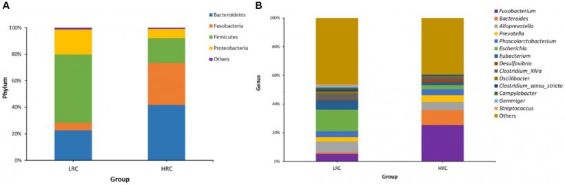 Figura 2. Composizione microbica del microbiota intestinale in suini sperimentali a diversi livelli tassonomici mediante sequenziamento del gene 16S rRNA. (A) Le composizioni complessive del microbiota del contenuto cecale dei gruppi LRC e HRC sono state rappresentate come grafici a barre a livello di phylum. (B) Le composizioni complessive del microbiota del contenuto cecale dei gruppi LRC e HRC sono state rappresentate come grafici a barre a livello di gene.
