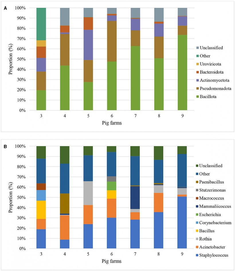 Figura 2. Classificazioni metagenomiche delle composizioni della comunità batterica a livello di phylum (A) e di genere (B) di polvere aerodispersa all'interno di sette allevamenti di suini in base alla proporzione (percentuale di letture di sequenziamento che si allineano o mappano a un phyla e a un genere specifici rispetto al numero totale di legge) dei primi 5 phyla e generi.