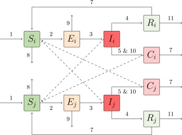 Fig. 3. Struttura del modello sottostante per due gruppi di suini selvatici collegati (i e j). Ciascun gruppo ha cinque classi: suscettibile (S), esposto (E), infetto (I), guarito (R) e carcasse di suini recentemente morti di PSA (C). Le frecce numerate corrispondono agli undici processi descritti nella Tabella 1.