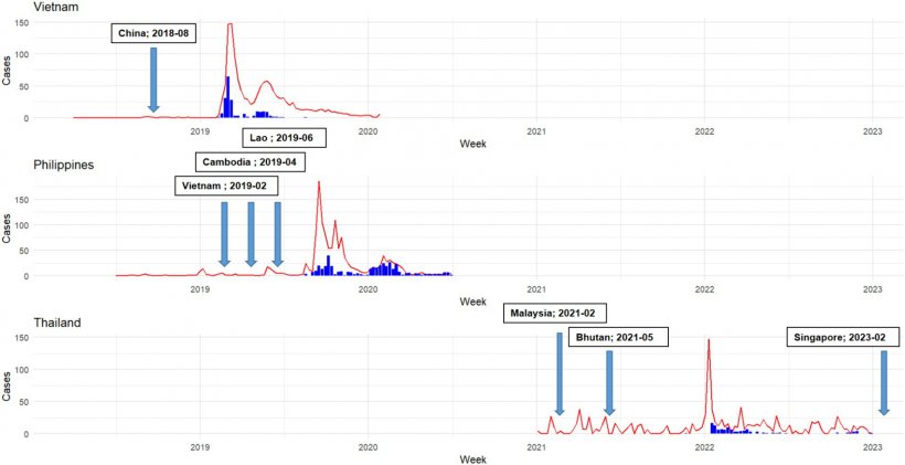 Figura 1. Focolai di peste suina africana (PSA) (mostrati come barre blu) e volume di ricerca di Google Trends per parole chiave selezionate correlate alla PSA (rappresentate da linee rosse) dal 2018 al 2023 in Vietnam, Filippine e Tailandia. Le frecce indicano quando i paesi vicini hanno segnalato per la prima volta la PSA all’Organizzazione mondiale per la salute animale (WOAH). Nel caso del Vietnam e delle Filippine, la tempistica dei picchi nel volume di ricerca di Google (linea rossa) è in linea con i picchi nei casi di epidemia di PSA (barre blu), suggerendo una sincronia tra l’attività di ricerca online e il verificarsi di focolai di PSA sul campo.