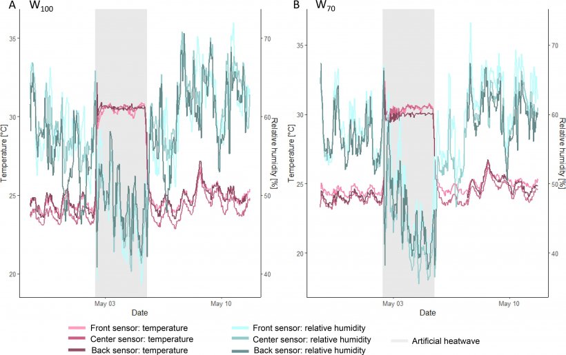 Fig. 2. Temperatura ambiente e umidità relativa dei sensori anteriore, centrale e posteriore con un intervallo di dieci minuti durante la prova nel compartimento di A) W100 (quaranta suini da ingrasso di 20 settimane di 96,5 ± 7,3 kg) e B) W70 (quaranta suini da ingrasso di 17 settimane di 72,7 ± 9,9 kg) (esperimento 1).