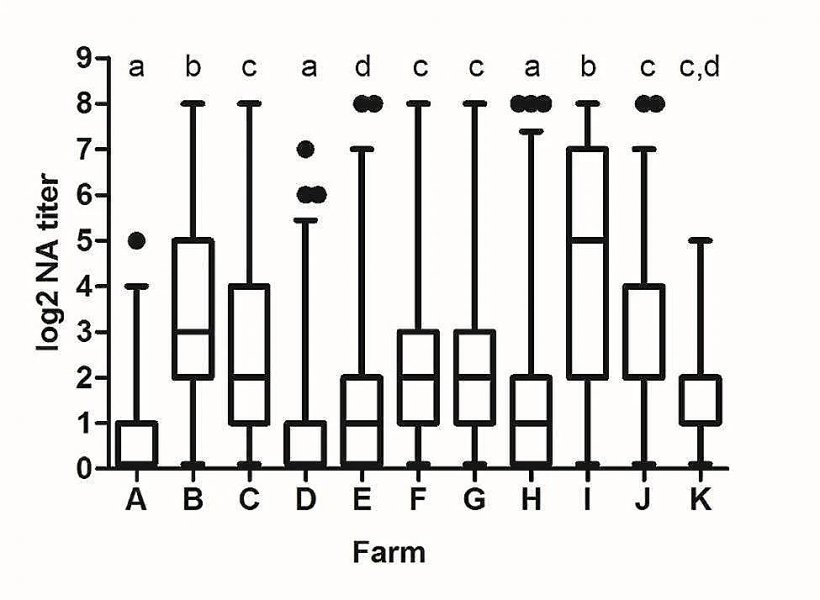 Determinazione della frequenza di individui con anticorpi neutralizzanti ampiamente cross-reattivi contro il PRRSV nella popolazione di scrofe in condizioni di campo. GMT di NA rispetto agli isolati virali utilizzati nello studio per allevamento. Ogni casella rappresenta l'intervallo tra il 25 e il 75% delle osservazioni. La linea all'interno di ogni casella rappresenta la mediana. I baffi sopra e sotto ogni casella si estendono fino a 1,5 volte l'intervallo interquartile (ICR). I punti rappresentano valori anomali. Lettere diverse su ogni allevamento indicano differenze statisticamente significative