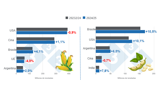 Grafico 1. Proiezione del raccolto per i principali produttori mondiali di mais e soia - campagna 2024/25 rispetto al ciclo 2023/24 - ultimo aggiornamento: 11 ottobre 2024. Elaborato dal Dipartimento di Economia e Market Intelligence su dati FAS - USDA.
