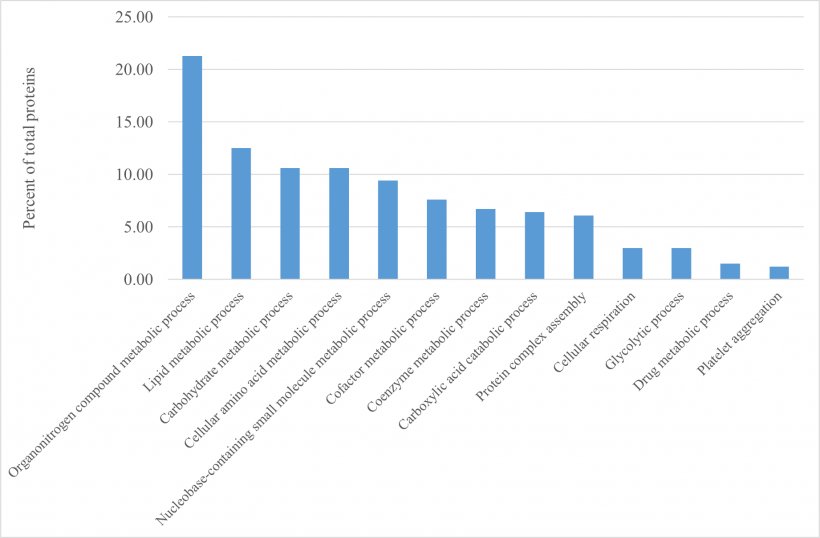 Fig 1. Percentuale di proteine ​​epatiche (su tutte le 329 proteine ​​identificate; Tabella S1) raggruppate in base a diversi processi biologici.