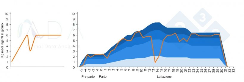 Figura 3. Modello teorico modificato associato a una reazione vaccinale e risultati nella pratica.
