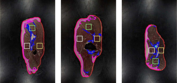 Fig. 5. Esempi di performance visiva dell'algoritmo SegmentHamImage per diverse fette di prosciutto. Il colore indica diversi tipi di fetta: contorno del prosciutto (rosso), grasso sottocutaneo (rosa), grasso intermuscolare (blu scuro) e muscoli quadrati BF (bianco), SM (giallo) e ST (verde). 